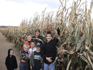 Ramseyer Farms, Ohio Maze