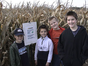 Ramseyer Farms, Ohio Maze